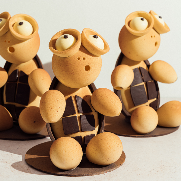 Tortuga Intrépida